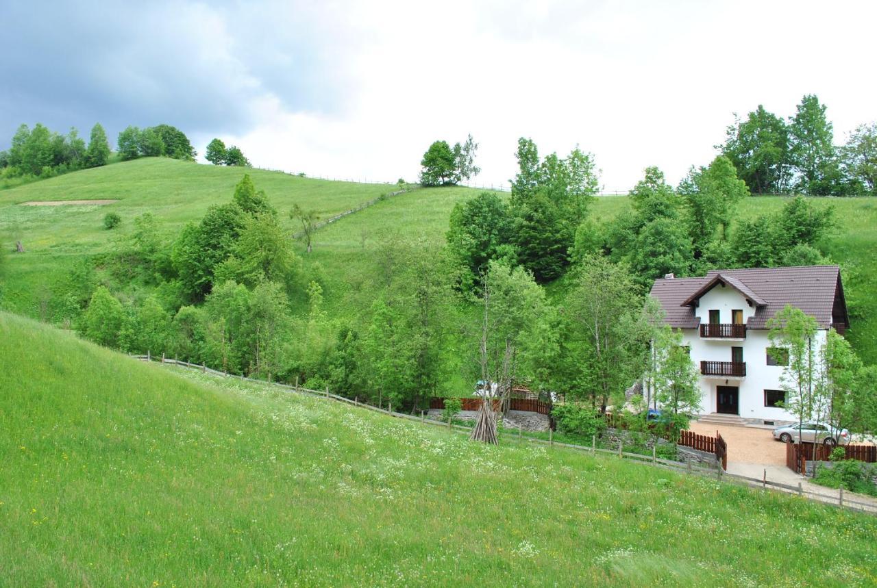 La Craita Villa Törcsvár Kültér fotó