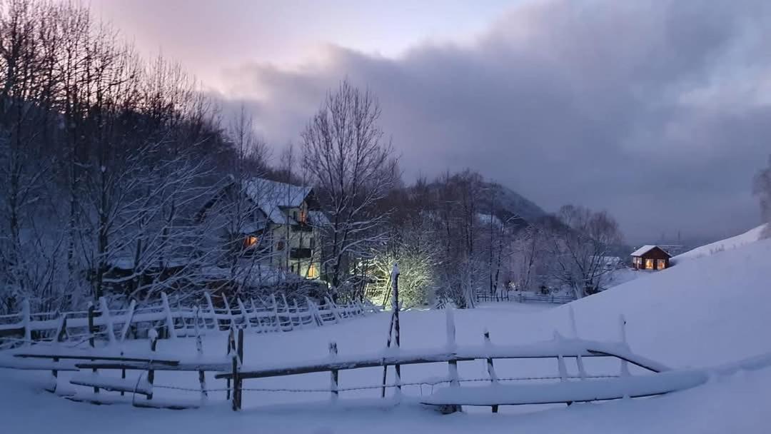 La Craita Villa Törcsvár Kültér fotó